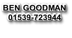 BEN GOODMAN 01539-723944